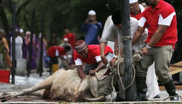 Esensi Ibadah Qurban